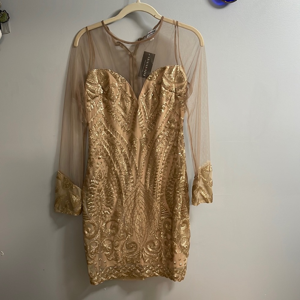 Fashion Nova Dress-